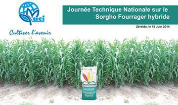 Le semis du sorgho fourrager - par Conseil en Agriculture